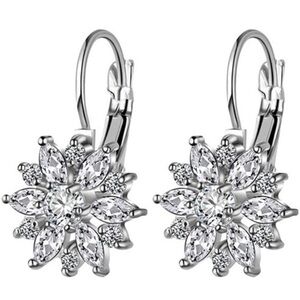 Earrings Dangle Crystal Clear Silver Tone Lever Back New